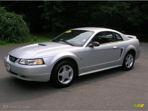 images of 2000 mustang v6 silver and black trim | 1999 Silver Metallic Ford Mustang GT Coupe #33606604 ... 2000 Mustang, Car Max, Ford Mustang Coupe, Car Colors, Ford Mustang Gt, Mustang Gt, Dream Car, Hot Cars, Black Trim