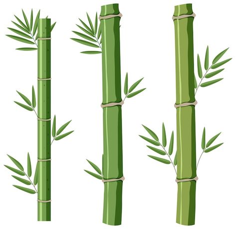 Isolated bamboos on white background | Free Vector #Freepik #freevector #tree-art #tree-clipart #nature-drawing #cartoon-tree Bamboo Clipart, Bamboo Cartoon, Bamboo Drawing, Cartoon Tree, Dotwork Tattoo, Tree Clipart, Art Tree, Drawing Cartoon, Nature Drawing