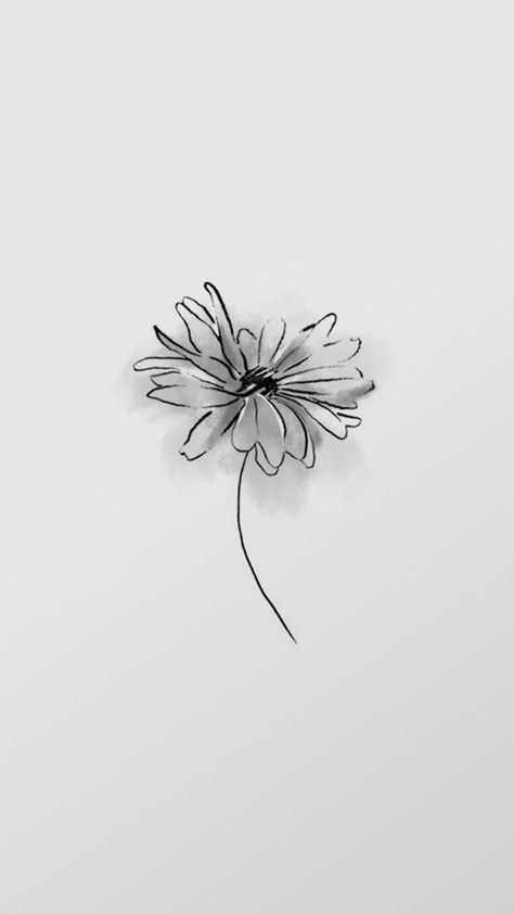 Daisy Drawing, Daisy Tattoo, Daisy Wallpaper, Flower Wallpapers, Drawing Wallpaper, Black And White Flowers, Cute Flower Wallpapers, Dainty Tattoos, Iphone Wallpaper Themes