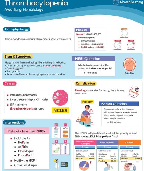 Simple Nursing (@simplenursing.com_) posted on Instagram: “Did you know that with access to our membership, you get 5x more content than what you see on IG or YouTube? Sign up for FREE and see our…” • Jan 22, 2022 at 1:30am UTC Simple Nursing Study Guides Cardiac, Simple Nursing Study Guides, Hematology Nursing, Simple Nursing, Nursing Instructor, Nurse Teaching, Paramedic School, Nursing Cheat, Med Surg Nursing