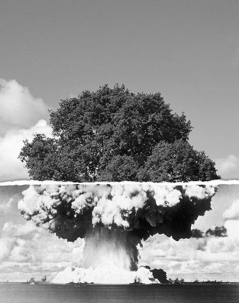 a picture of a tree and an atomic bomb mushroom cloud have been merged- juxtaposition examples in photography Growth And Decay, Conceptual Photography, A Level Art, White Photo, Photography Inspo, Amazing Nature, Creative Photography, Photography Tips, Collage Art