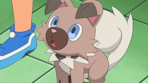 Pokemon Dog, Rockruff Pokemon, Dog Pokemon, Pokemon Video, Names Dog, Best Pokemon, Pokemon Video Games, Best Dog Names, Powerful Pokemon