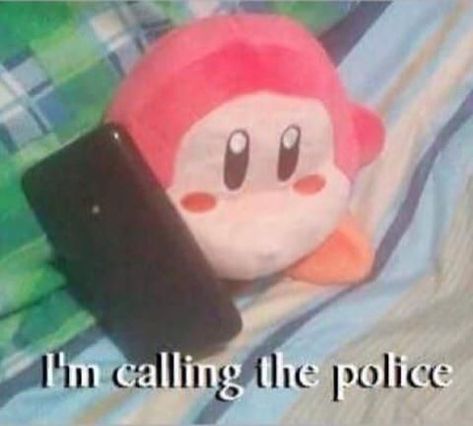 Why Do I Even Bother, I'm Calling The Police, Calling The Police, Waddle Dee, Kirby