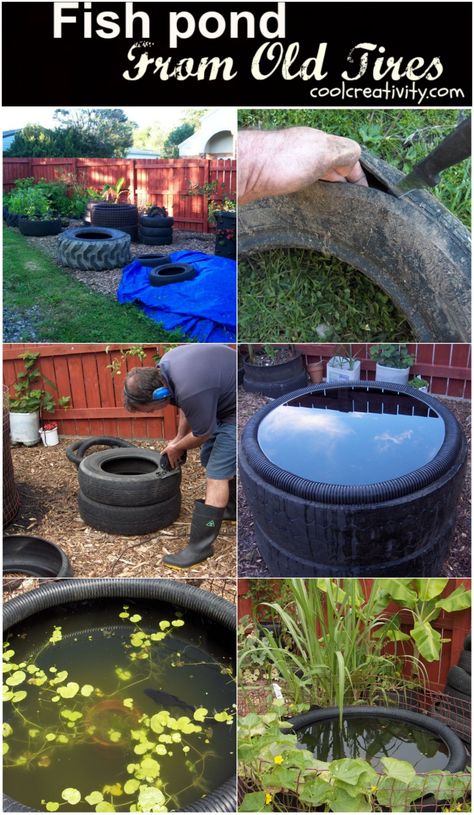 DIY Decorative Fish Pond From Old Car Tires. This Tire Pond is a great little garden feature that can enhance the overall aesthetics of your yards! #Tire #Garden # Pond #Recycle Garden Ideas Using Old Tires, Tire Pond, Tires Diy, Como Plantar Pitaya, Big Leaf Plants, Outdoor Garden Ideas, Tire Garden, Diy Pond, Pallet Patio