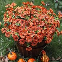 Faux Outdoor Plants, Corn Flowers, Artificial Branches, Fall Mums, Porch Planters, Mums Flowers, Autumn Orange, Artificial Plants Outdoor, Outside Decorations