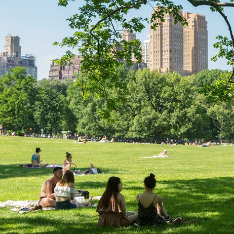 Central Park - The Official Website of Central Park NYC Park Astethic, People At The Park, People In Park, Central Park Aesthetic, Museums Architecture, Central Park Picnic, Seneca Village, Sitting In The Park, Shakespeare Garden