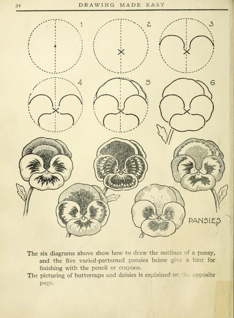 Drawing Made Easy, Books Drawing, How To Draw Flowers, Draw Flowers, Flower Drawing Tutorials, Easy A, Pola Sulam, Plant Drawing, Book Drawing