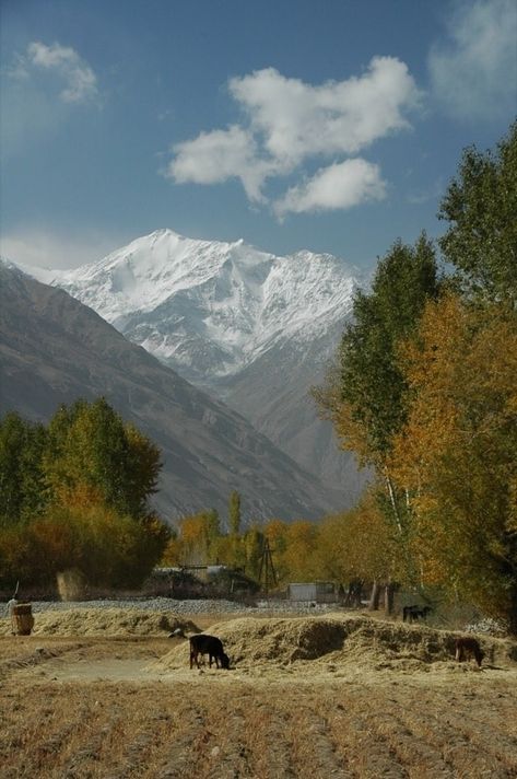 Pamir Mountains, Fall Photography Nature, Photography Inspiration Nature, Mountain Travel, Winter Pictures, Africa Travel, Amazing Destinations, Asia Travel, Travel Dreams