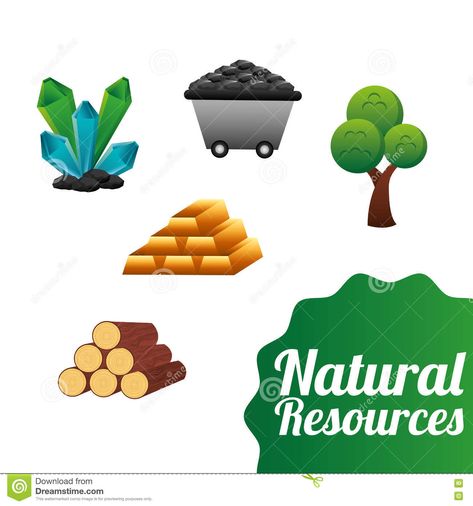 *Grade: 3rd *Standard: SS3E1 Define and give examples of the four types of productive resources. a. Natural (land) b. Human (labor) c. Capital (capital goods) d. Entrepreneurship (risk-taking and combining natural, human, and capital resources in an attempt to make a profit) *Description: Students have the option of 3 different types of games that review over the 4 different types of productive resources. Capital Resources, Types Of Games, State Testing, Social Studies Resources, Typing Games, Online Game, Take Risks, Natural Resources, Social Studies