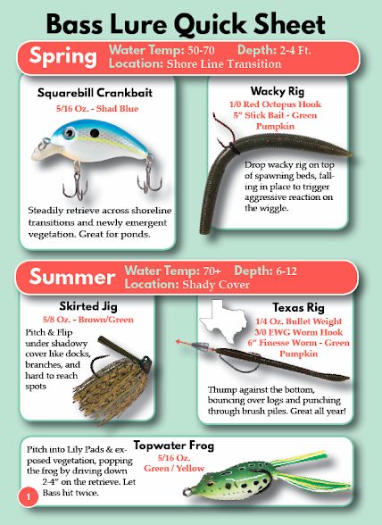 How to Bass Fish Ebook - Free Guide on Bass Fishing Fishing Knowledge, Best Bass Lures, Fish Chart, Crappie Fishing Tips, Fishing Basics, Bass Bait, Fishing 101, Survival Stuff, Fishing For Beginners