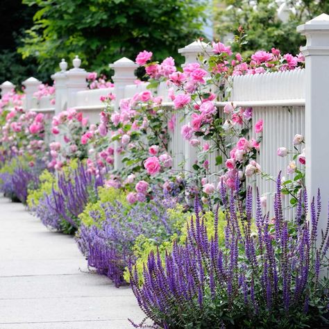 12 Inspiring Flower Bed Designs — The Family Handyman Garden Ideas For Beginners, Rosen Beet, Lady's Mantle, Flower Bed Designs, White Fence, Garden Flower Beds, Front Yard Design, White Picket Fence, Have Inspiration