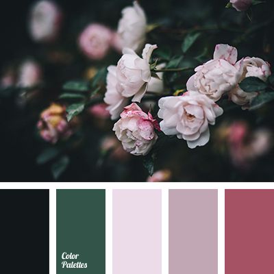 Color Palette #1836 | Color Palette Ideas In Color Balance, Black Color Palette, Color Palette Pink, Design Seeds, Color Balance, Decoration Inspiration, Colour Schemes, Color Pallets, Room Colors