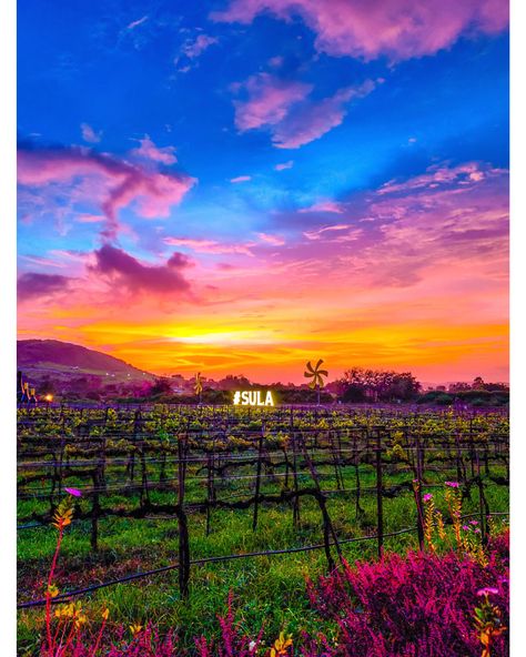 As part of our upcoming auction, The Gentleman's Sale, we're delighted to offer the perfect getaway at The Source at Sula, Asia’s finest vineyard stay and resort. 🍷 Nestled in Sula’s breathtaking vineyards in Nashik, the trip includes a two-night stay for a group of four in two Vineyard Suites. Expect the finest ambience and views for a memorable and restful weekend. Group Of Four, Wine Hampers, Shoulder Massage, Personalized Wine, Stay The Night, The Trip, The Source, Holiday Festival, Wine Tasting