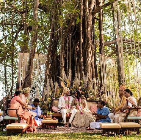 Indian Wedding Under Tree, Wedding Decor Under Tree, Wedding Under Tree, Sustainable Wedding Decor, Small Wedding Decor, Mandap Design, India Wedding, Mandap Decor, Desi Wedding Decor