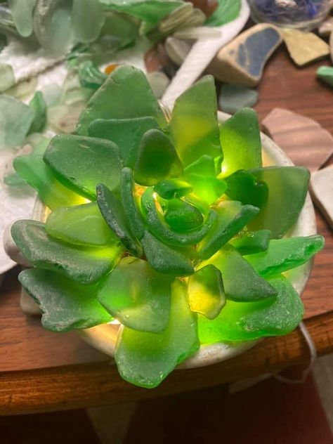 Sea Glass Succulents, Seaglass Succulents, Sea Glass Succulent, Seaglass Flowers, Sea Glass Art Projects, Craft Things, Glass Art Projects, Sea Glass Crafts, Glass Projects