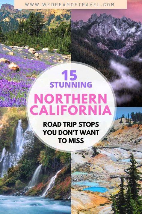 Northern California National Parks Road Trip, Things To Do Northern California, North California Travel Road Trips, North California Travel, Best Things To Do In California, Central California Travel, Road Trip Stops, North California, Northern California Road Trip