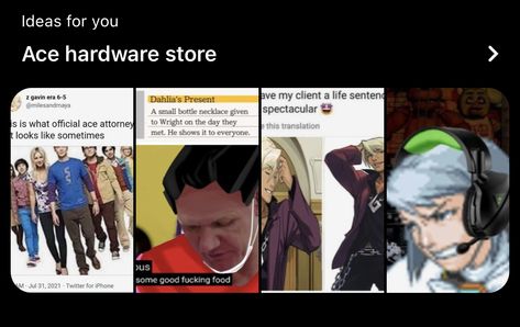 My favorite Capcom game, Ace Hardware Store. Ace Humor, Ace Attorney Reaction Images, Ace Attorney Apollo Justice, Ace Spec Flag, Ace Memes Hilarious, Capcom Games, Ace Hardware Store, Apollo Justice, Ace Of Spades