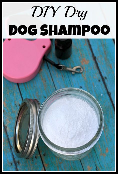 This is a great way to freshen your dog up when you can't give them a full bath.Easy DIY DRY Dog Shampoo! Dry Dog Shampoo Diy, Diy Dog Dry Shampoo, Diy Dry Shampoo For Dogs, Dog Dry Shampoo, Shampoo Homemade, Dog Smelling, Diy Dog Wash, Diy Dog Shampoo, Homemade Dog Shampoo