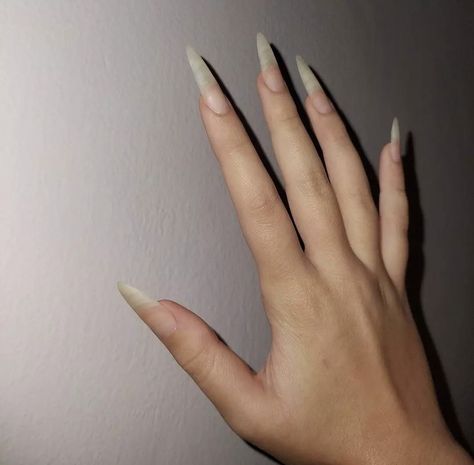 Kitty Claws Nails, Old Nail Designs, Grow Long Nails, Vampire Nails, Long Natural Nails, Long Stiletto Nails, Sharp Nails, Claw Nails, Grunge Nails