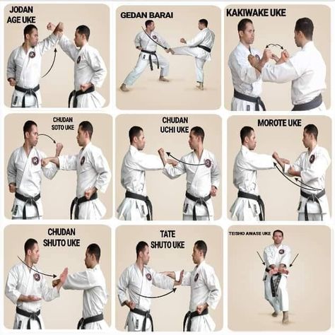 Karate Techniques, Shotokan Karate Kata, Karate Kumite, Karate Moves, Martial Arts Books, Karate Kata, Martial Arts Sparring, Martial Arts Quotes, Karate Training