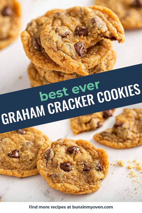 These graham cracker cookies are positively loaded with crushed graham crackers giving them an amazing taste with a soft and chewy texture! What Can I Make With Gram Crackers, Recipes With Gram Crackers, Graham Cracker Chocolate Chip Cookies, Graham Cracker Recipes Easy, Graham Cracker Recipes Desserts Simple, Gram Cracker Recipes, Soft Snacks, Graham Cracker Snacks, Graham Cracker Cookie Dough