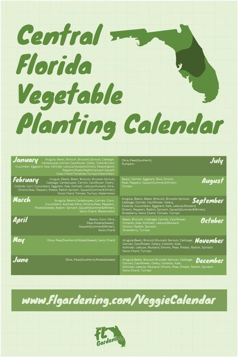 Central Florida Vegetable Planting Calendar Florida Planting Zones, Vegetable Garden In Florida, North Florida Gardening Vegetable, Florida Gardening Vegetable Zone 9, Gardening In Florida Panhandle, Northwest Florida Gardening, Florida Panhandle Gardening, Florida Vegetable Gardening Raised Beds, Zone 9 Gardening Florida