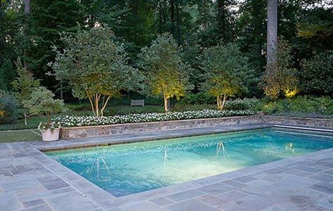 Flower Backyard, Patio Chico, Truck Garden, Rectangle Pool, Pool Remodel, Alpine Plants, Backyard Pool Landscaping, Garden Types, Small Pools