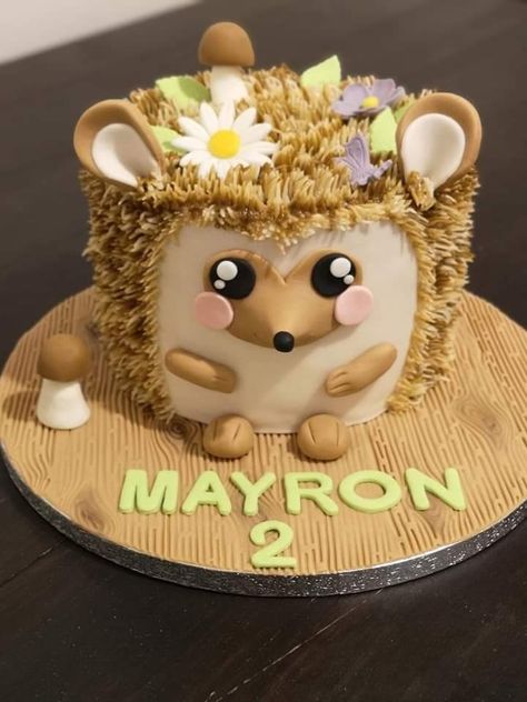 Hedgehog Cake Ideas, Tier Torte, Hedgehog Birthday Cake, Hedgehog Cake, Cake For Boyfriend, 10 Birthday Cake, 80 Birthday Cake, Hedgehog Birthday, Girly Cakes