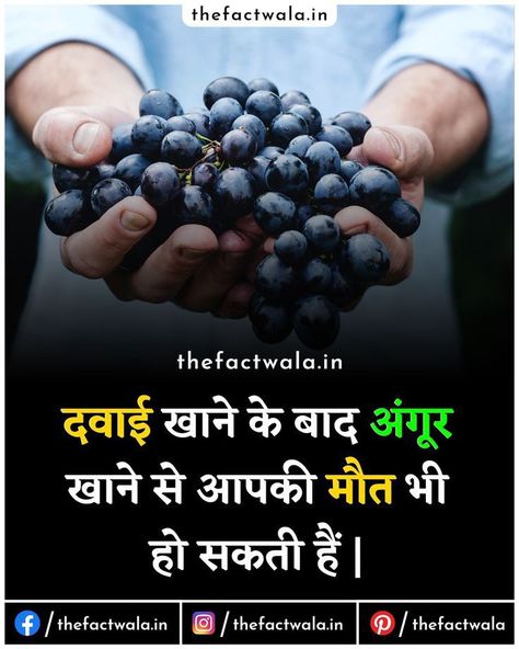 Best Facts In Hindi, Fact About Food In Hindi, Amazing Facts About Food In Hindi, Today Facts In Hindi, Unbelievable Facts Hindi New, Food Facts In Hindi, Today New Fact In Hindi, Amazing Facts For Students In Hindi, Psychology Fact Hindi