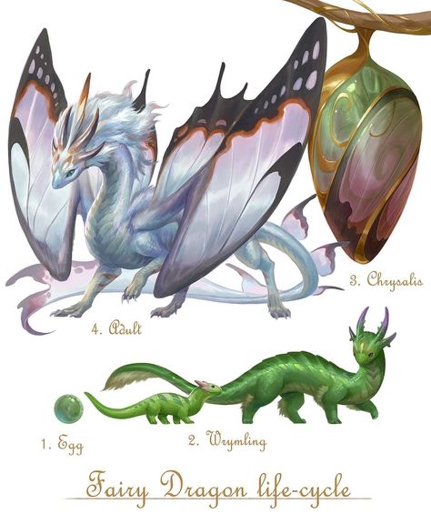 Dragon Growth Stages, Mythical Reptiles, Sandara Tang, Fey Dragon, Custom Species, Human Creatures, Species Ideas, Dragon Species, Dragon Fairy