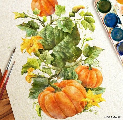 Garden Illustration, Pumpkin Flower, Fall Watercolor, Fruit Painting, China Painting, Botanical Painting, Mushroom Art, Autumn Painting, Fruit Art