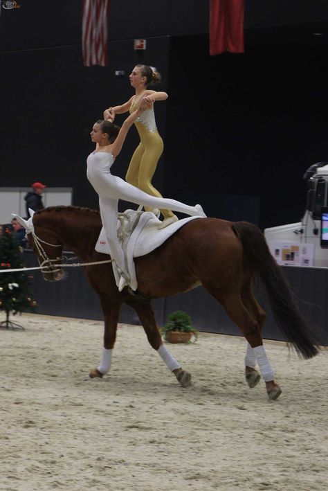 Vaulting Horses, Vaulting Equestrian, Horse Vaulting, Stadium Jumping, Trick Riding, Acrobatic Gymnastics, Equestrian Sports, Bull Riding, Aerial Silks