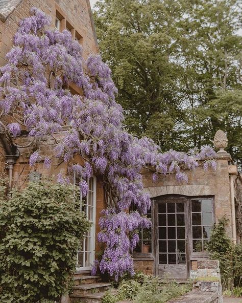 Climbing Wisteria, House Facade, Farms Living, Had Enough, Spring Aesthetic, Architecture Old, Beautiful Villages, Climbing Plants, Wall Planter