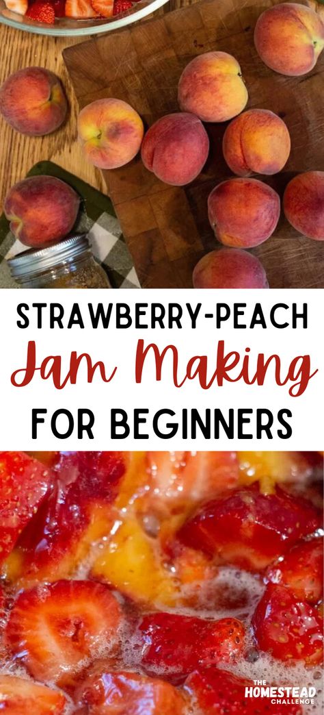 Whip up a batch of our delightful Honey-Sweetened Strawberry Peach Jam! This recipe combines juicy strawberries and lush peaches with the natural sweetness of honey for a healthier take on traditional jams. It’s perfect for spreading on morning toast, dolloping on yogurt, or even as a sweet topping for ice cream. Whether you’re a jam-making veteran or trying it for the first time, our step-by-step guide ensures delicious results. Uses For Peach Jam, Strawberry Peach Jam Recipe, Strawberry Jam Combinations, Strawberry Peach Jam Canning, Peach Scrap Jelly, Canning Peaches For Beginners, Mixed Fruit Jelly Recipe, Peach Jelly Recipe Canning, Peach Jam Recipe Canning