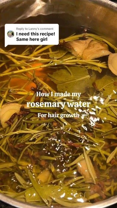 Hair Growth Tips & Hacks 💕 on Reels | Lana Del Rey · Radio Rosemary Water For Hair Growth, Rosemary Water For Hair, Lana Del Rey Radio, Hair Growth Mask Diy, Diy Hair Growth Oil, Curly Hair Growth, Rosemary Hair Growth, Rosemary Water, Healthy Natural Hair Growth