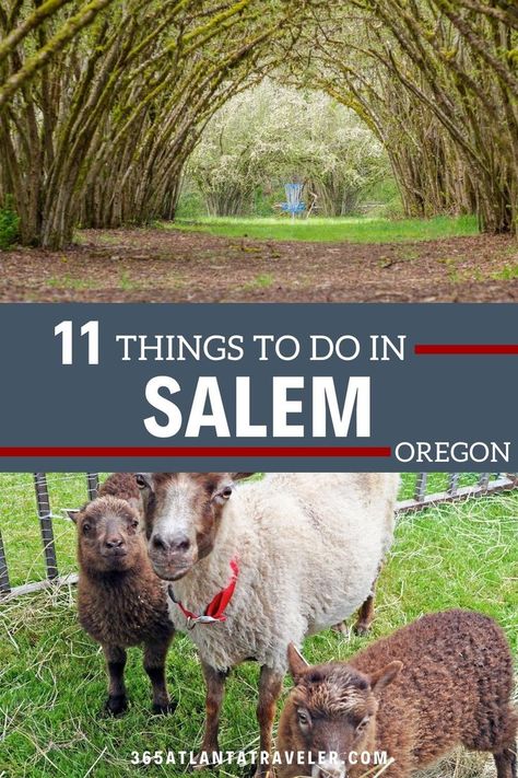 Things To Do In Salem, Corvallis Oregon, Explore Oregon, State Capital, Salem Oregon, State Capitals, Oregon Travel, Oregon State, Vacation Places