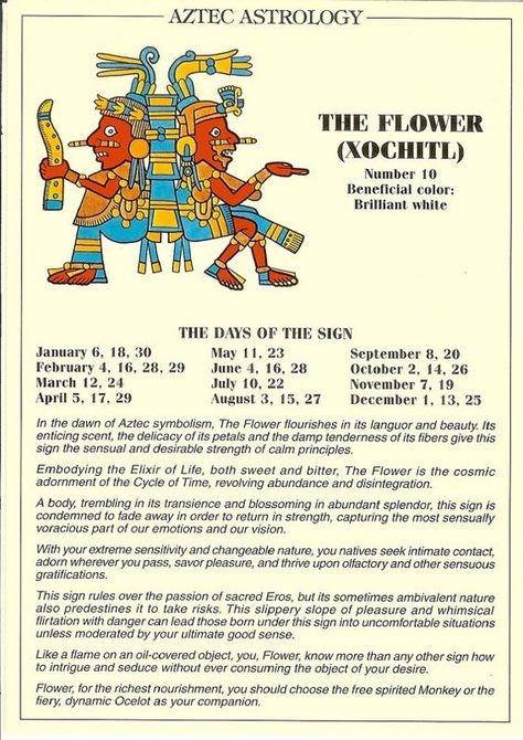 Aztec Astrology - Xochitl (the Flower) Xochitl Flower, Aztec Astrology, African Astrology, Egyptian Astrology, What Is Birthday, Chinese Numerology, Aztec Symbols, Indian Astrology, Aztec Culture