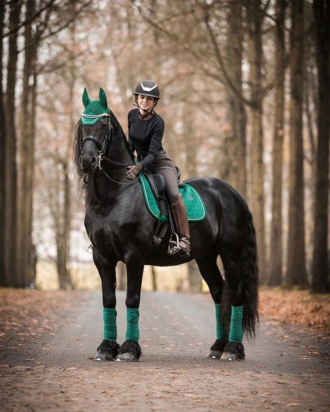 Elise Broché Official on Instagram: “Wow! Today I had such a nice day! Meet the friesian stallion Jelle 🙌🏻🤩 Jelle is dressed in dark green from @kentucky_horsewear 🌲💚 . . .…” Dark Green Horse Tack, Outfit Equitation, Hella Gabbert, Horse Tack Rooms, Friesian Stallion, Horse Coat Colors, Horse Saddle Pads, Beautiful Horse Pictures, Equestrian Riding