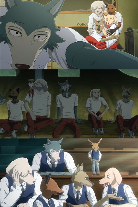 Beastars Oc Wolf, Beastars Zootopia, Beastars Edit, Beastars Characters, Beastars Oc, Sing Movie Characters, Beastars Legosi, School Anime, Bna Brand New Animal