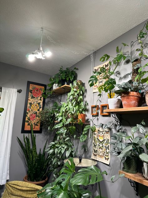 Hanging Grow Lights Indoor, Lights Hanging From Ceiling, Home Plants Decor, Indoor Garden Rooms, Greenhouse Home, Elevated Planter, Indoor Grow Lights, Indoor Plant Wall, Planter Beds