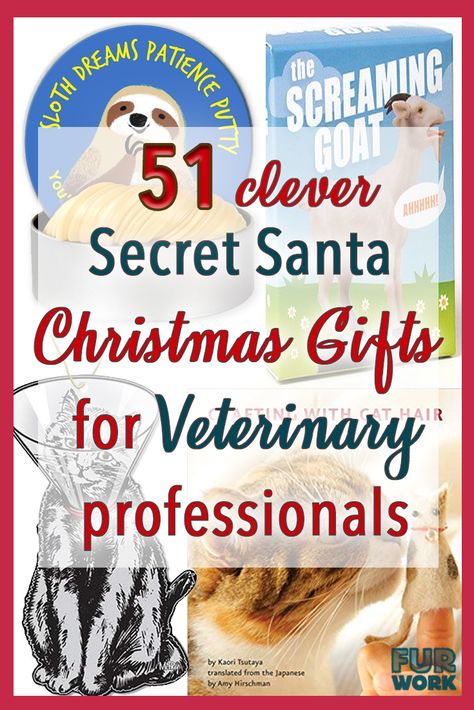 51 clever christmas veterinarian & veterinary technician gifts on Amazon.com  Creative ideas for secret santa/ white elephant gift exchange /stocking stuffer Christmas presents for veterinarians, vet techs and veterinary support staff in 2018. #veterinary #vetmed #veterinarian #vettech #veterinarytechnician #vetnurse #veterinarynurse #gifts #giftideas #presents #amazon #secretsanta #whiteelephant #stockingstuffer Veterinary Technician Gifts, Fancy Stationery, Veterinary Tech, Secret Santa Christmas Gifts, Easy Homemade Christmas Gifts, Best White Elephant Gifts, Vet Office, Horse Care Tips, Vet Tech Gifts