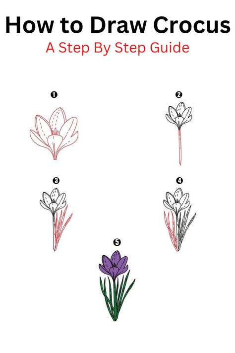 How to Draw Crocus Crocus Drawing, Crocus Flower, Draw Flowers, Art Challenges, Cool Drawing, Flower Drawings, Flowers Drawing, Paint Flowers, Draw And Paint