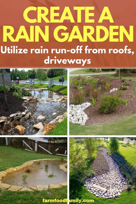 Consider building a rain garden to help conserve water, re-use rain run-off and create a natural environment for birds and beneficial insects in the yard. Rain Garden Diy, Rain Garden Ideas, Rain Garden Design, Garden Ideas Diy, Backyard Drainage, Conserve Water, Meteor Garden 2018, Magic Garden, Dry Creek