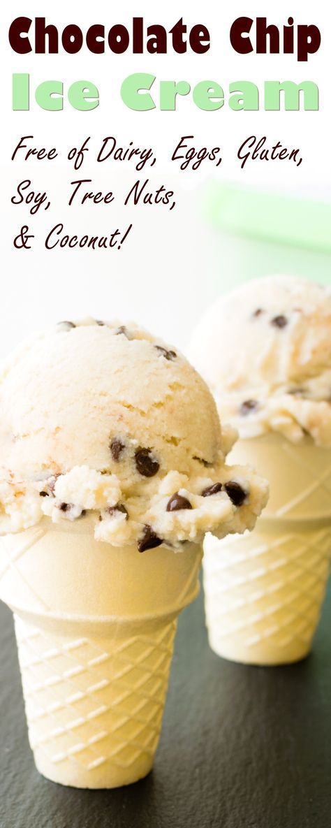 Chocolate Chip Ice Cream Recipe, Go Dairy Free, Vegan Ice Cream Recipe, Lactose Intolerance, Dairy Free Chocolate Chips, Dairy Free Ice Cream, Chocolate Chip Ice Cream, Desserts Vegan, Dairy Free Eggs