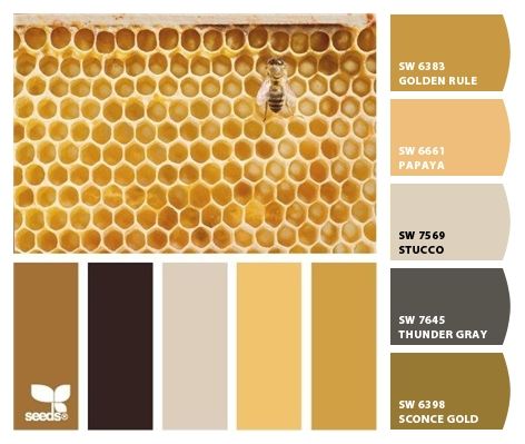 Yellow Coordinating Colors, Bumblebee Color Palette, Beehive Color Palette, Honeycomb Color Palette, Honey Interior Design, Color Palettes With Yellow, Goldenrod Color Palette, Yellow Paint Palette, Honey Pallete