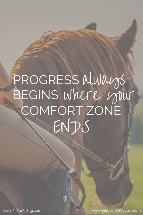 Equine Quotes, Horse Sayings, Inspirational Horse Quotes, Horse Riding Quotes, Equestrian Quotes, Cowgirl Quotes, Riding Quotes, Horse Inspiration, Country Girl Quotes