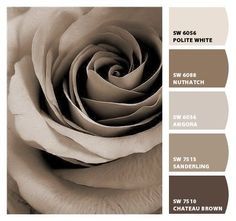 Paint colors from ColorSnap by Sherwin-Williams Mocha Paint Colors, Contemporary Interior Design Ideas, Neutral Pallet, Interior Paint Colors For Living Room, Brown Paint Colors, Interior Paint Colors Schemes, Modern Contemporary Home, Farmhouse Paint Colors, Farmhouse Paint