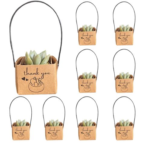 PRICES MAY VARY. Unique and Cheerful: Our AMZAOMNN 50Pcs Thank You Succulents Wraps are the perfect addition to any succulent party favors. These wraps add a touch of playfulness and vibrancy to your event, making them a unique and memorable gift for your guests. Versatile Gift Option: Forget about traditional baby shower or wedding favors like koozies and cookies. Give your guests something that will add cheer to their homes - a beautiful succulent. Our wraps make the perfect decoration sleeve Women's Party Favors Gift Ideas, 1st Birthday Party Favors For Adults, Thank You Party Favors For Adults, Gift Plants Ideas, Client Thank You Gifts, Cute Thank You Gifts, Thank You Gifts For Baby Shower Guests, Succulent Bridal Shower Favors, Plant Themed Party