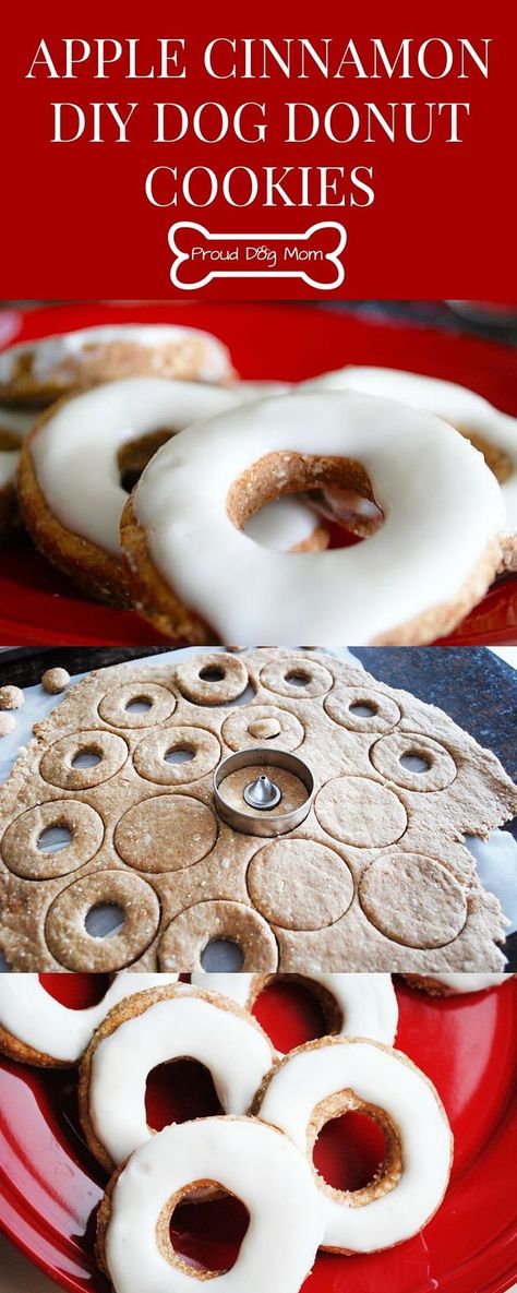 Apple Cinnamon DIY Dog Donut Cookies | Homemade Dog Treats | Dog Doughnuts | Dog Biscuits | Dog Donut, Donut Cookies, Cookies Homemade, Dog Biscuit Recipes, Food Dog, Diy Dog Treats, Puppy Treats, Dog Cookies, Dog Biscuits