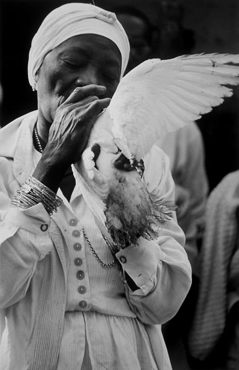 Photo by Claire Garoutte, Santera with Dove, Matanzas, Cuba Magic Rings, Vinales, African Spirituality, Witch Doctor, Hip Hop And R&b, Spell Caster, In Focus, World Problems, African Culture